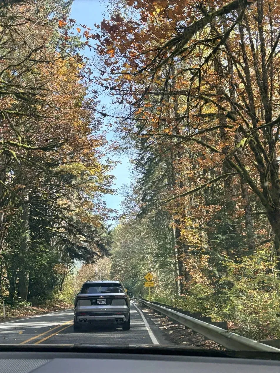 A two-lane road running through a tunnel of orange and gold autumn trees.