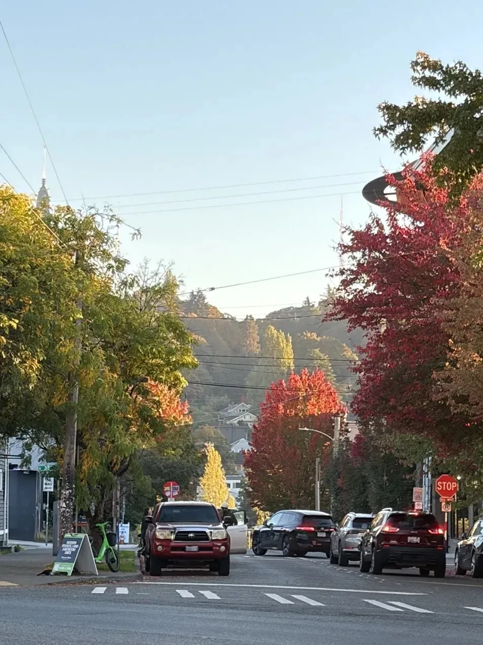 A city street lined with red and gold autumn trees, with forested hills rising behind it.